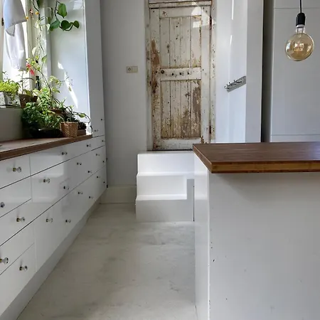 Villa Monumental House Near The Zandvoort