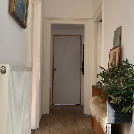 Villa Monumental House Near The Zandvoort